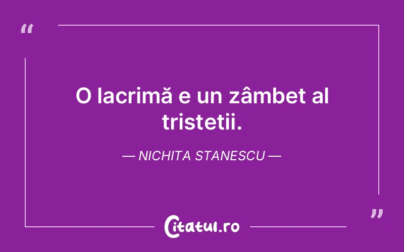 Citat Nichita Stanescu - citate triste