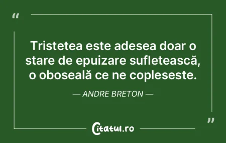 Tristețea este adesea doar o stare de e...