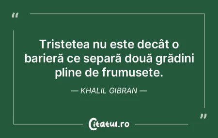 Tristețea nu este decât o barieră ce ...