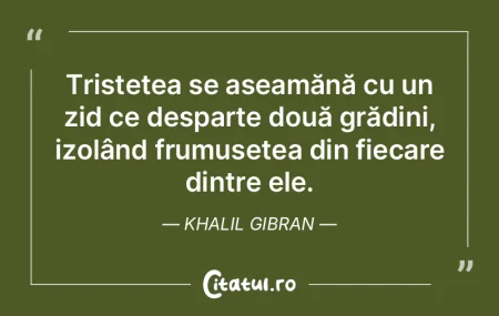 Tristețea se aseamănă cu un zid ce de...