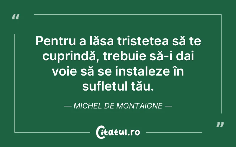 Citat Autor necunoscut - citate triste