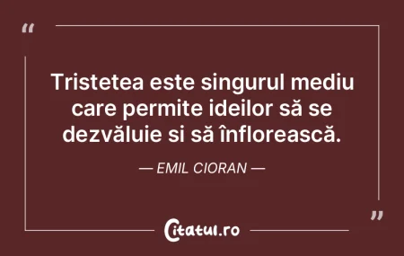 Tristețea este singurul mediu care perm...