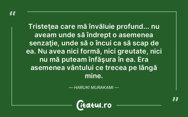 Citat Autor necunoscut - citate triste