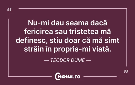Nu-mi dau seama dacă fericirea sau tris...