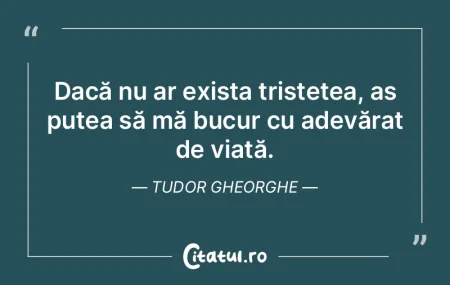 Dacă nu ar exista tristețea, aș putea... Dacă nu ar exista tristețea, aș putea...