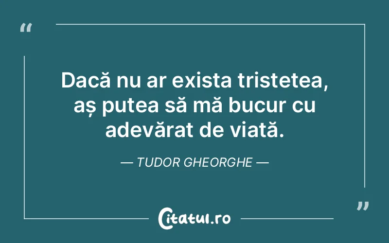 Citat Tudor Gheorghe - citate triste