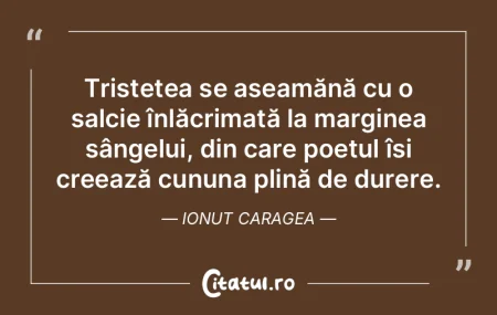 Tristețea se aseamănă cu o salcie în... Tristețea se aseamănă cu o salcie în...