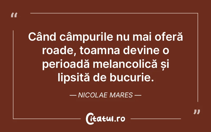 Citat Nicolae Mares - citate triste