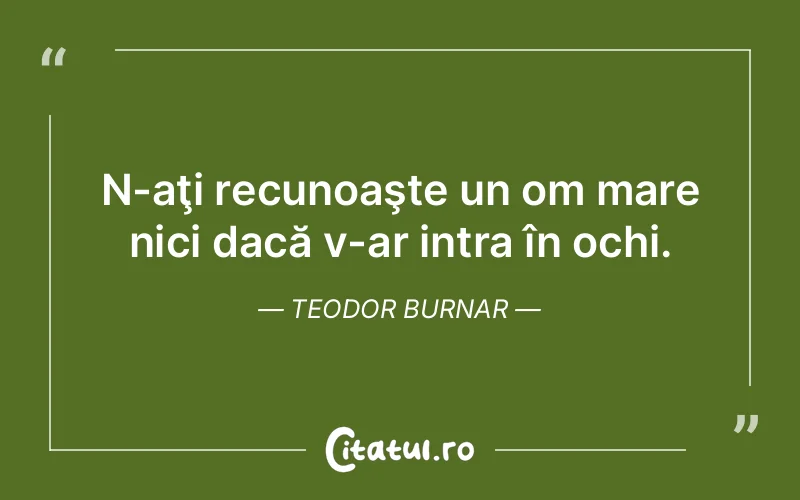 Citat Teodor Burnar - citate triste
