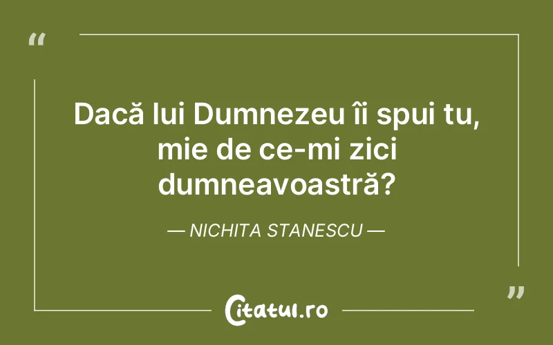 Citat Nichita Stanescu - citate triste