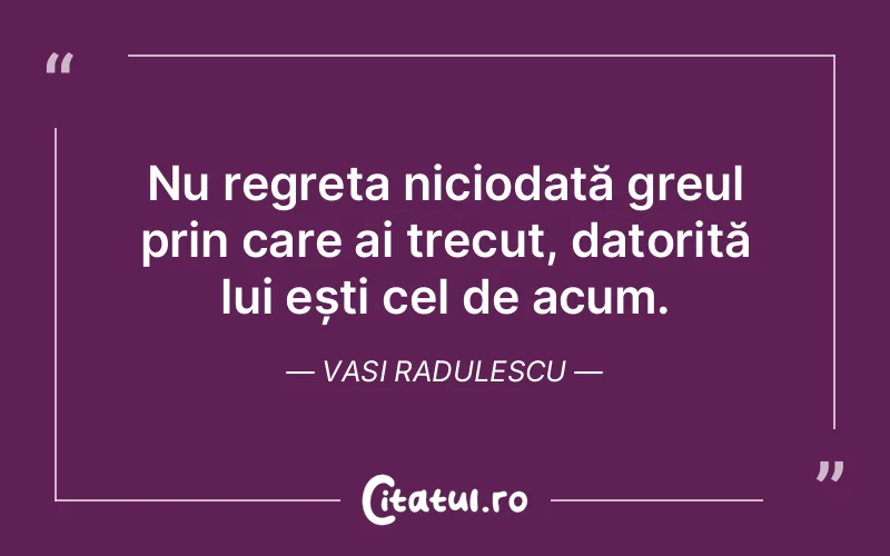 Citat Vasi Radulescu - citate triste