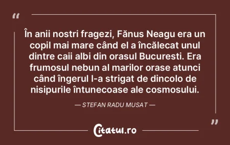 În anii noștri fragezi, Fănuș Neagu ... În anii noștri fragezi, Fănuș Neagu ...