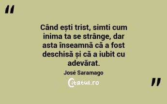 Când ești trist, simți cum inima ta se strânge, dar asta înseamnă că a fost deschisă și că a iubit cu adevărat. José Saramago...