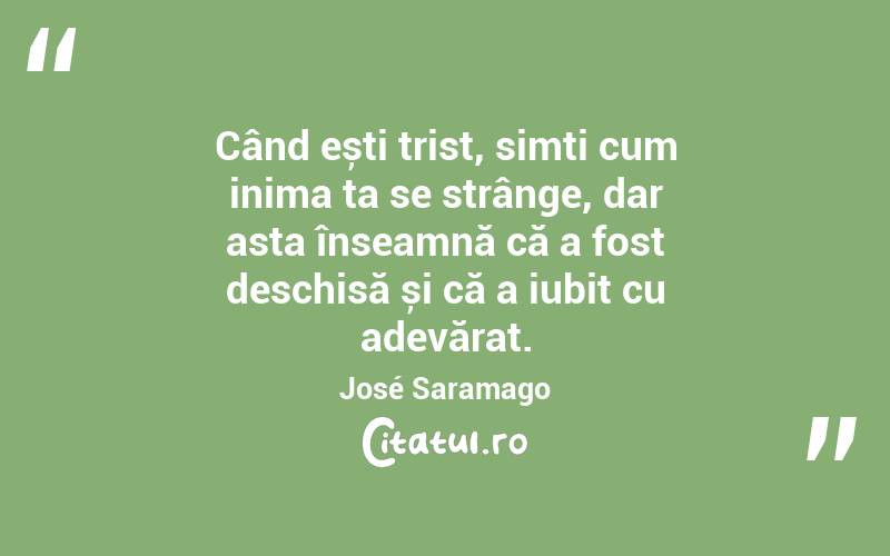 Când ești trist, simți cum inima ta se strânge, dar asta înseamnă că a fost deschisă și că a iubit cu adevărat. José Saramago
