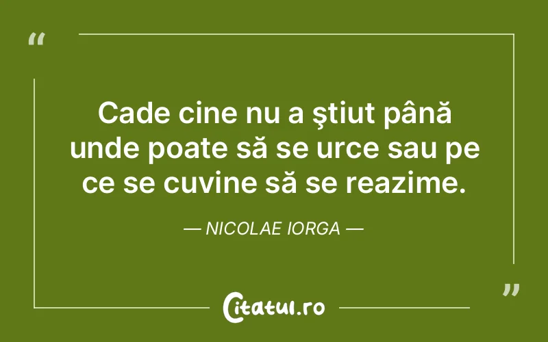 Citat Nicolae Iorga - citate triste