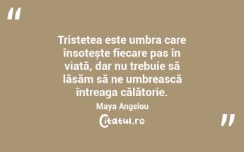 Tristețea este umbra care însoțește fiecare pas în viață, dar nu trebuie să lăsăm să ne umbrească întreaga călătorie. Maya Angelou...