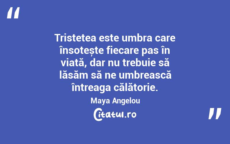 Tristețea este umbra care însoțește fiecare pas în viață, dar nu trebuie să lăsăm să ne umbrească întreaga călătorie. Maya Angelou
