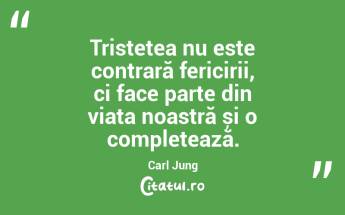 Tristețea nu este contrară fericirii, ci face parte din viața noastră și o completează. Carl Jung...