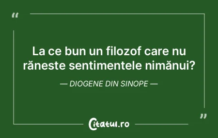 La ce bun un filozof care nu rănește s... La ce bun un filozof care nu rănește s...