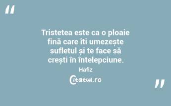 Tristețea este ca o ploaie fină care îți umezește sufletul și te face să crești în înțelepciune. Hafiz...