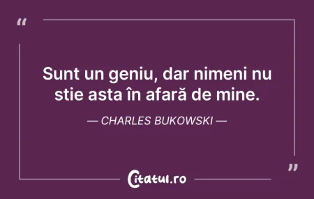 Sunt un geniu, dar nimeni nu știe asta ...