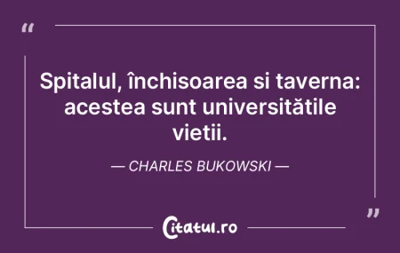 Spitalul, închisoarea și taverna: aces...