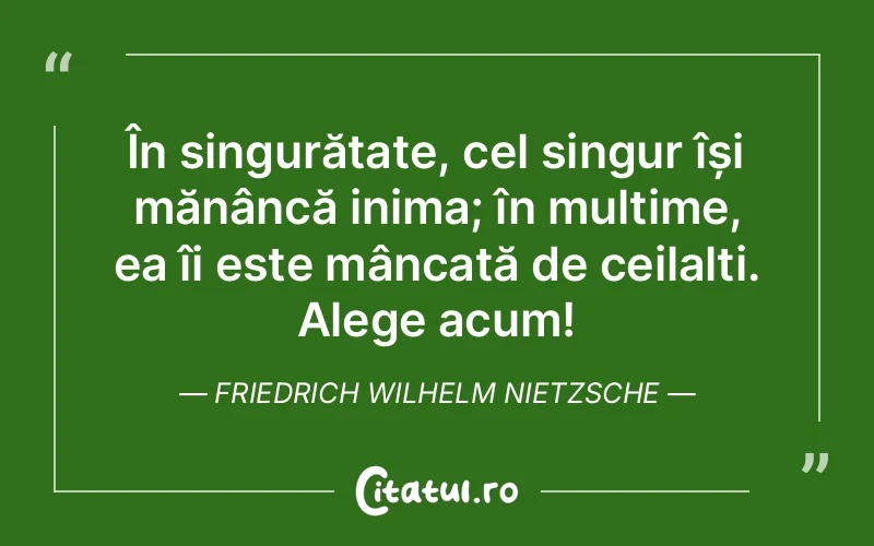 Citat Friedrich Wilhelm Nietzsche - citate triste