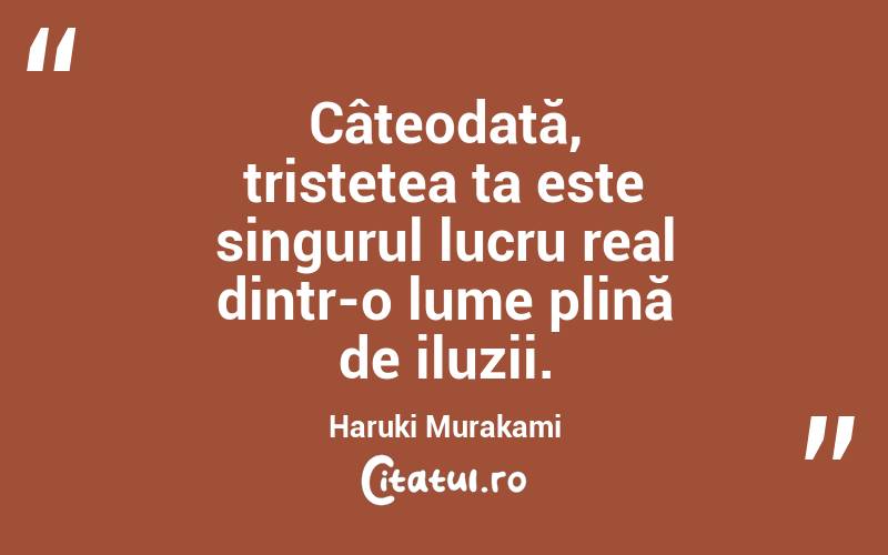 Câteodată, tristețea ta este singurul lucru real dintr-o lume plină de iluzii. Haruki Murakami
