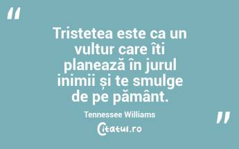 Tristețea este ca un vultur care îți planează în jurul inimii și te smulge de pe pământ. Tennessee Williams...