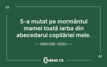 Citeste si: S-a mutat pe mormântul mamei toată iarba...