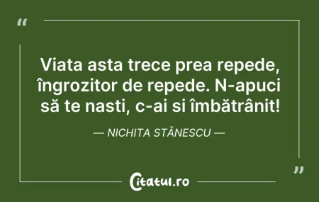 Citeste si: Viața asta trece prea repede, îngrozitor...