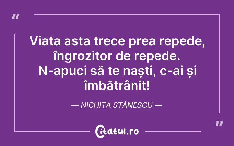 Viața asta trece prea repede, îngrozitor de repede. N-apuci să te naști, c-ai și îmbătrânit! Nichita Stănescu