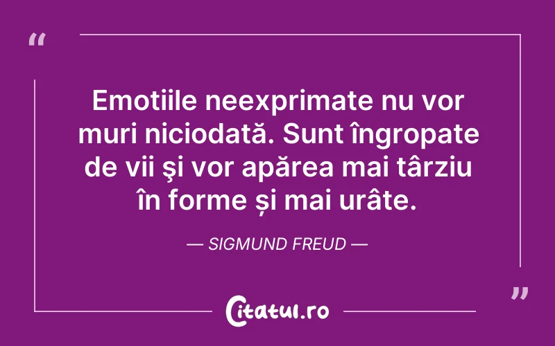 Citat Sigmund Freud - citate triste