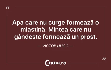 Citeste si: Apa care nu curge formează o mlaștină. M...