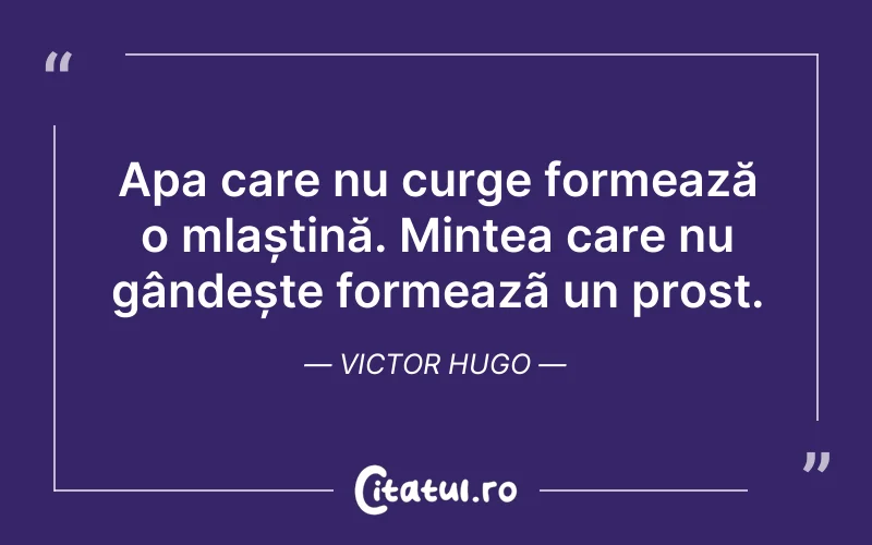 Citat Victor Hugo - citate triste