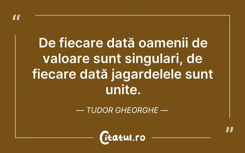 Citat Tudor Gheorghe - citate triste