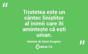 Tristețea este un cântec liniștitor al inimii care îți amintește că ești uman. Antoine de Saint-Exupéry...