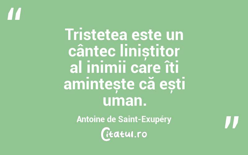 Tristețea este un cântec liniștitor al inimii care îți amintește că ești uman. Antoine de Saint-Exupéry
