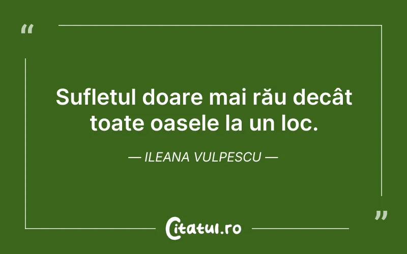 Sufletul doare mai rău decât toate oasele la un loc. Ileana Vulpescu