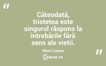 Câteodată, tristețea este singurul răspuns la întrebările fără sens ale vieții. Albert Camus...