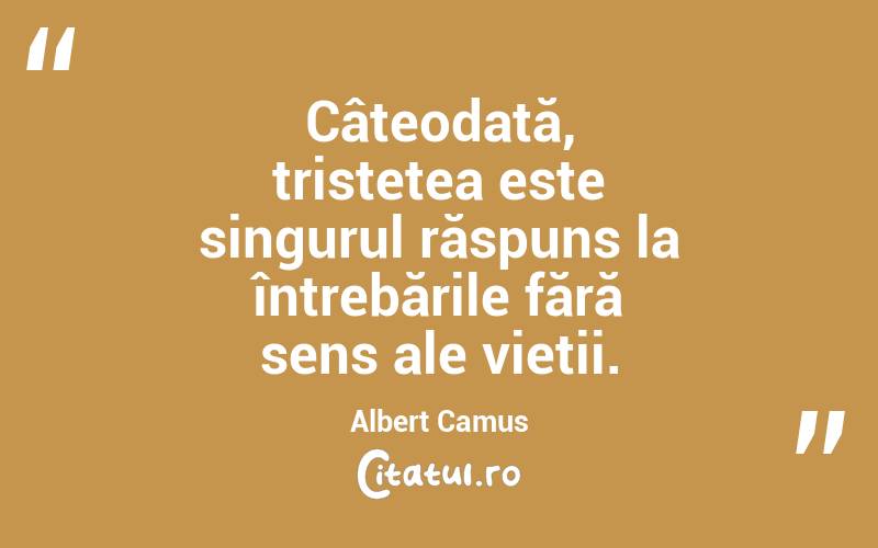 Câteodată, tristețea este singurul răspuns la întrebările fără sens ale vieții. Albert Camus
