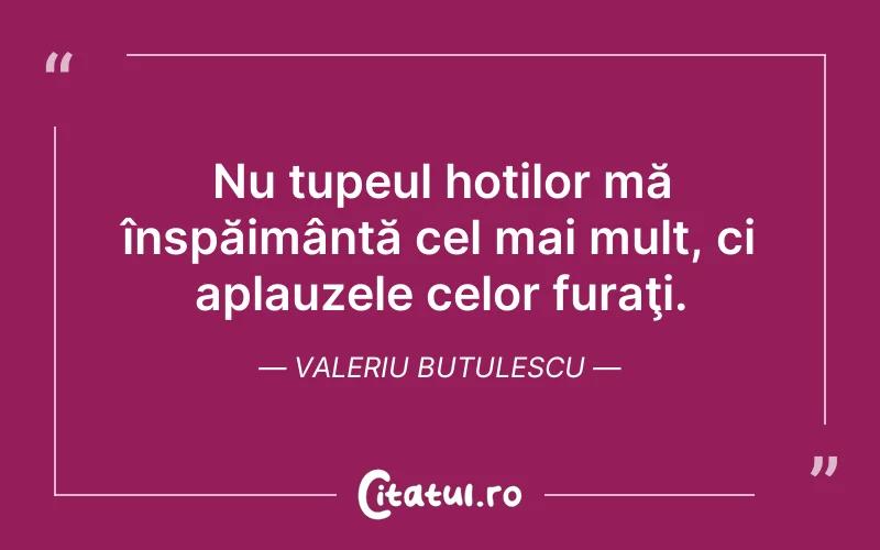 Nu tupeul hoților mă înspăimântă cel mai mult, ci aplauzele celor furaţi. Valeriu Butulescu
