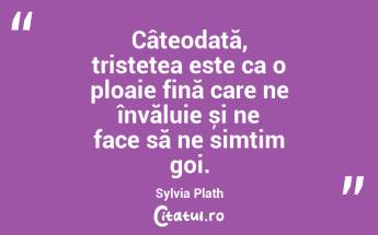Câteodată, tristețea este ca o ploaie fină care ne învăluie și ne face să ne simțim goi. Sylvia Plath...