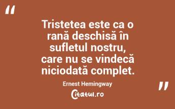 Tristețea este ca o rană deschisă în sufletul nostru, care nu se vindecă niciodată complet. Ernest Hemingway...