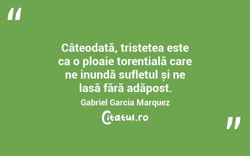 Câteodată, tristețea este ca o ploaie torențială care ne inundă sufletul și ne lasă fără adăpost. Gabriel Garcia Marquez
