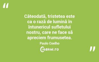 Câteodată, tristețea este ca o rază de lumină în întunericul sufletului nostru, care ne face să apreciem frumusețea. Paulo Coelho...