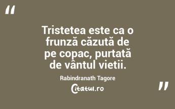 Tristețea este ca o frunză căzută de pe copac, purtată de vântul vieții. Rabindranath Tagore...