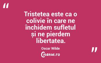 Tristețea este ca o colivie în care ne închidem sufletul și ne pierdem libertatea. Oscar Wilde...