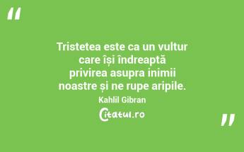Tristețea este ca un vultur care își îndreaptă privirea asupra inimii noastre și ne rupe aripile. Kahlil Gibran...