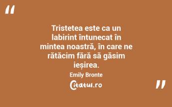 Tristețea este ca un labirint întunecat în mintea noastră, în care ne rătăcim fără să găsim ieșirea. Emily Bronte...